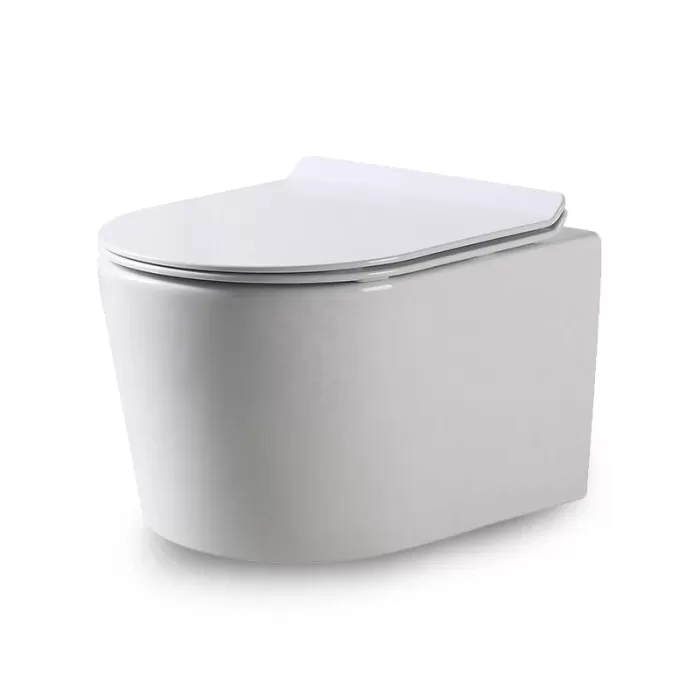 Унитаз подвесной Dusel Arez DWHT10210230R с сиденьем Soft Close дюропласт