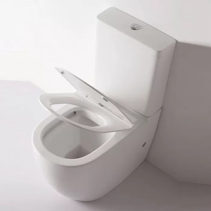 Унитаз-компакт Dusel Arti DTPT10210430R с бачком и сиденьем Soft Close дюропласт