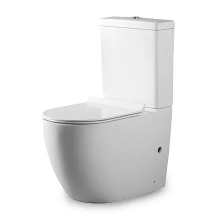 Унитаз-компакт Dusel Arti DTPT10210430R с бачком и сиденьем Soft Close дюропласт