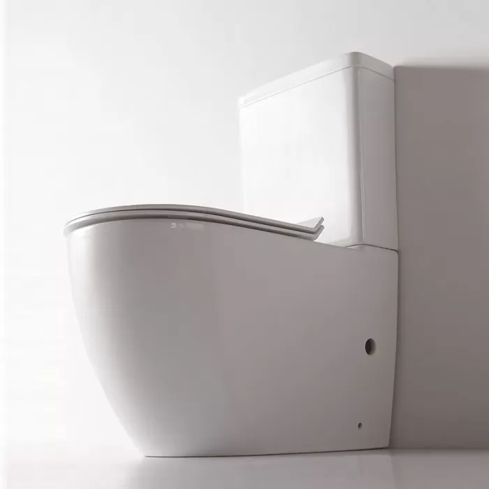 Унитаз-компакт Dusel Arti DTPT10210430R с бачком и сиденьем Soft Close дюропласт
