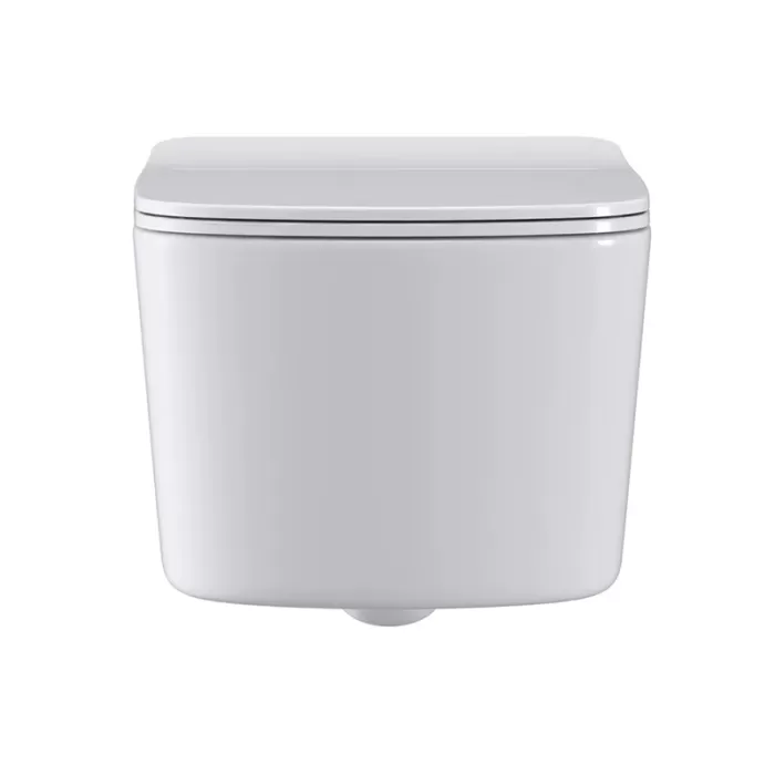 Унитаз подвесной Dusel Byron DWHT10202130 с сиденьем Soft Close дюропласт