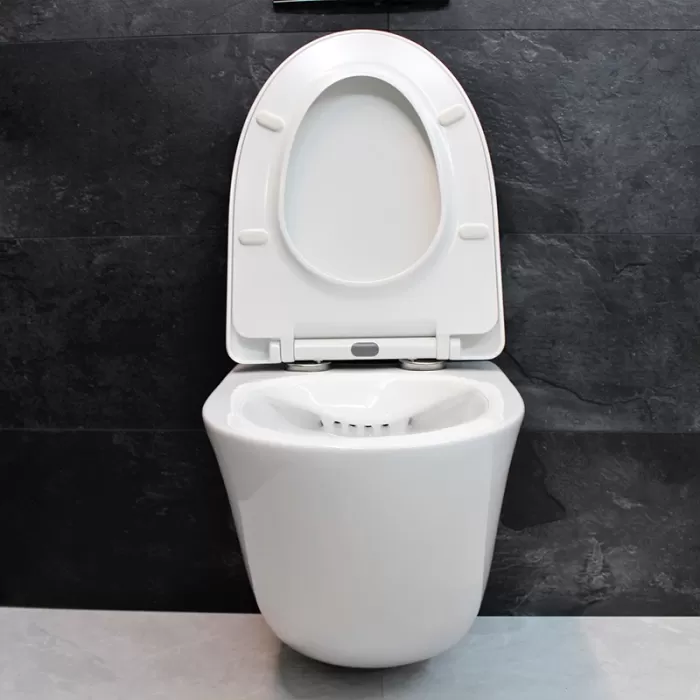 Унитаз подвесной Dusel Sentia DWHT10201630R с сиденьем Soft Close дюропласт