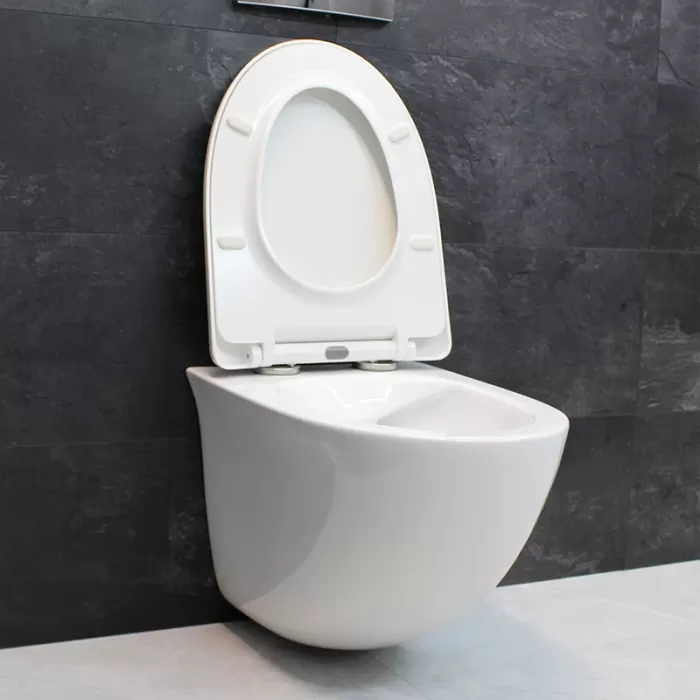 Унитаз подвесной Dusel Sentia DWHT10201630R с сиденьем Soft Close дюропласт