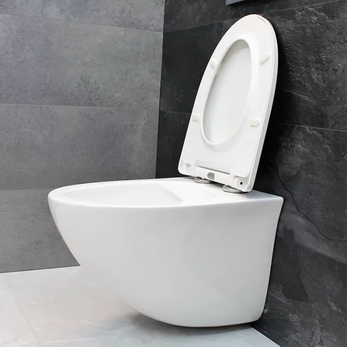 Унитаз подвесной Dusel Sentia DWHT10201630R с сиденьем Soft Close дюропласт