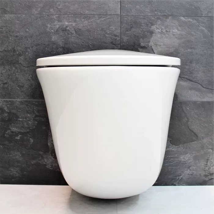 Унитаз подвесной Dusel Sentia DWHT10201630R с сиденьем Soft Close дюропласт