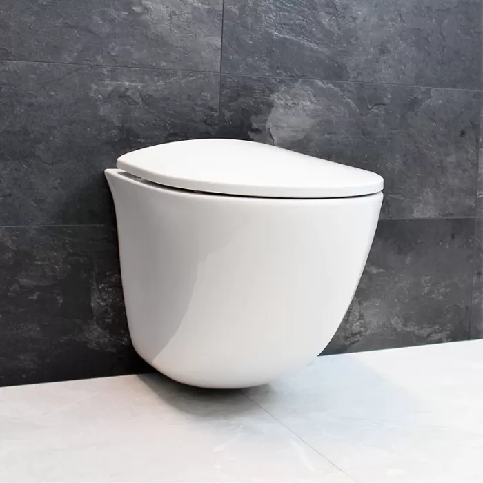 Унитаз подвесной Dusel Sentia DWHT10201630R с сиденьем Soft Close дюропласт