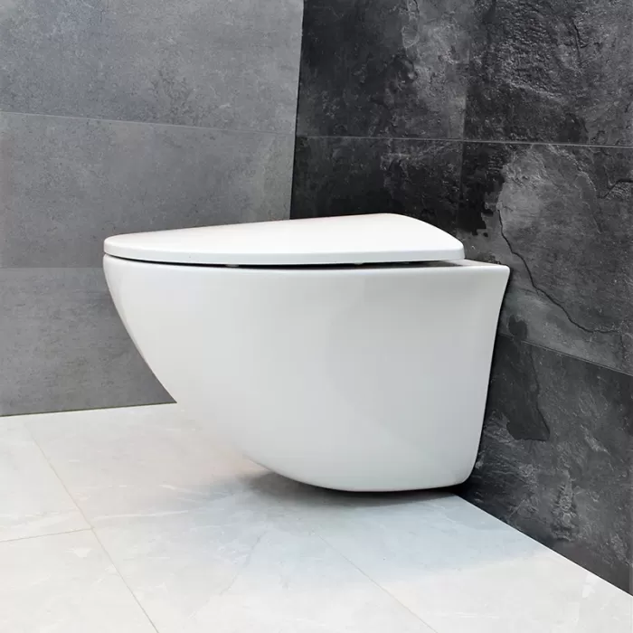 Унитаз подвесной Dusel Sentia DWHT10201630R с сиденьем Soft Close дюропласт