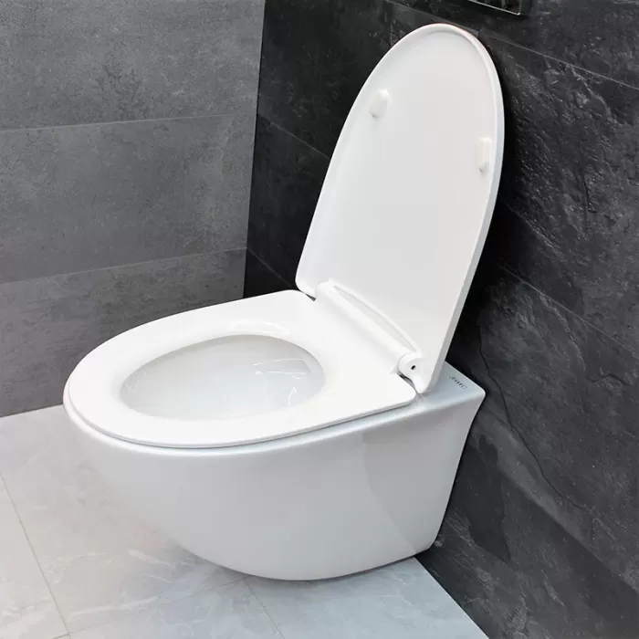 Унитаз подвесной Dusel Sentia DWHT10201630R с сиденьем Soft Close дюропласт