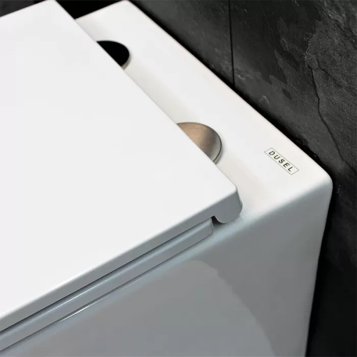 Унитаз подвесной Dusel Ivia DWHT10210330R с сиденьем Soft Close дюропласт