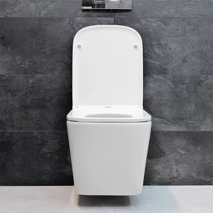 Унитаз подвесной Dusel Ivia DWHT10210330R с сиденьем Soft Close дюропласт
