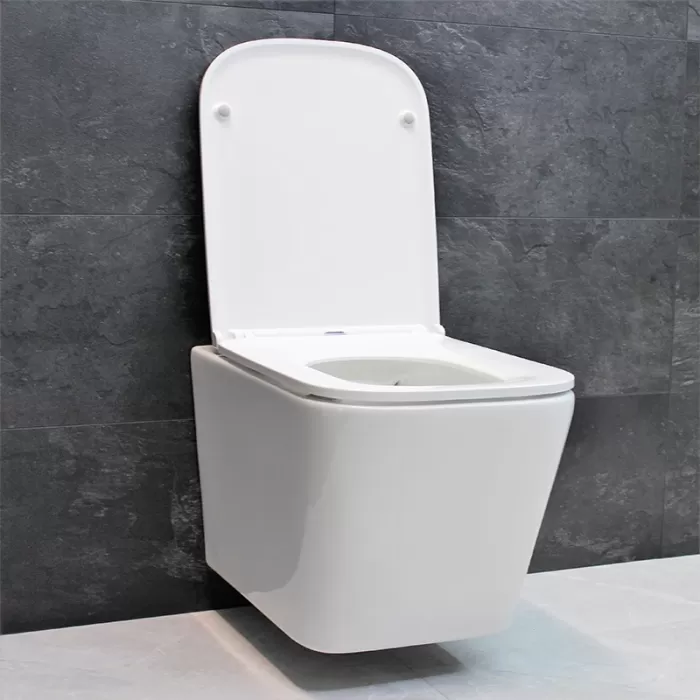 Унитаз подвесной Dusel Ivia DWHT10210330R с сиденьем Soft Close дюропласт