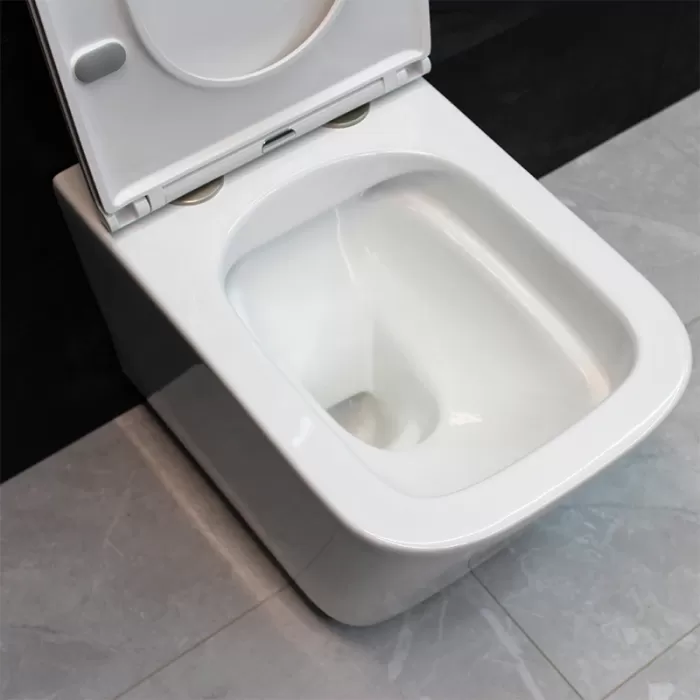 Унитаз подвесной Dusel Ivia DWHT10210330R с сиденьем Soft Close дюропласт
