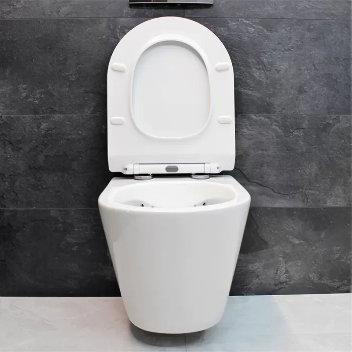 Унитаз подвесной Dusel Arez DWHT10210230R с сиденьем Soft Close дюропласт