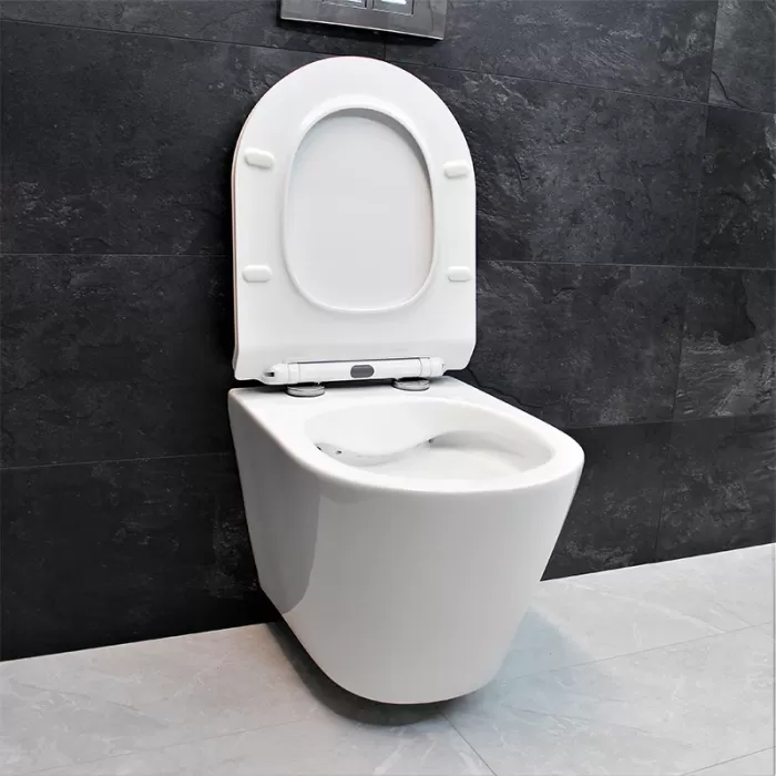 Унитаз подвесной Dusel Arez DWHT10210230R с сиденьем Soft Close дюропласт