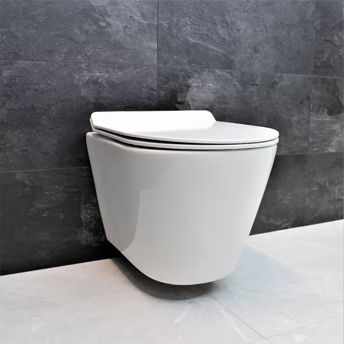Унитаз подвесной Dusel Arez DWHT10210230R с сиденьем Soft Close дюропласт