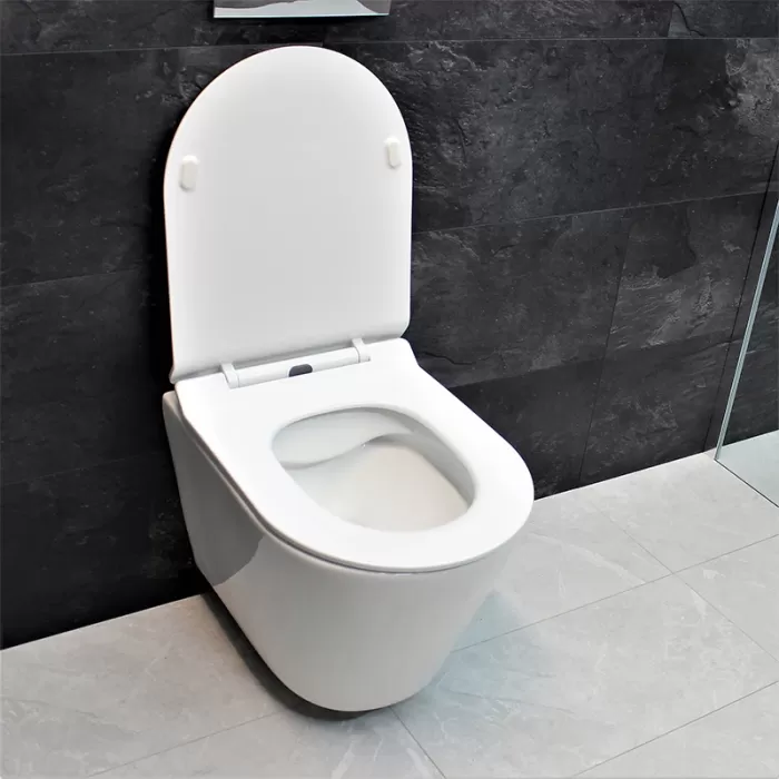 Унитаз подвесной Dusel Arez DWHT10210230R с сиденьем Soft Close дюропласт