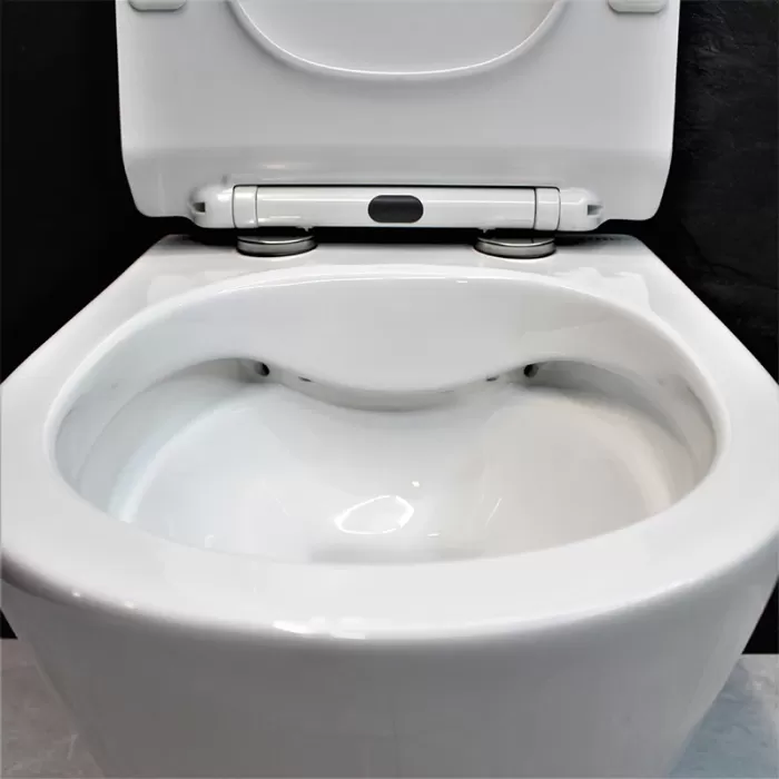 Унитаз подвесной Dusel Arez DWHT10210230R с сиденьем Soft Close дюропласт