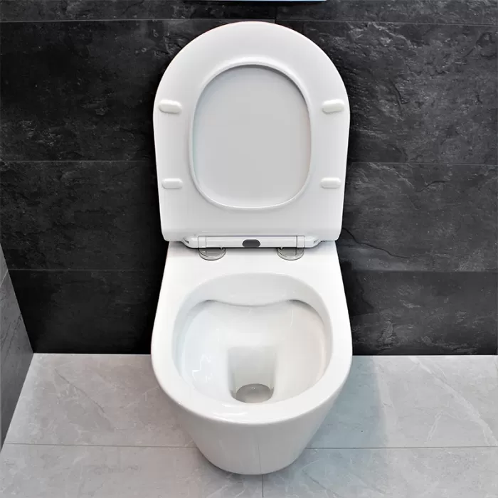 Унитаз подвесной Dusel Arez DWHT10210230R с сиденьем Soft Close дюропласт
