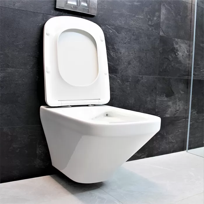 Унитаз подвесной Dusel Lexi DWHT10201330 с сиденьем Soft Close дюропласт