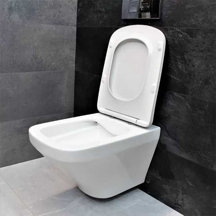Унитаз подвесной Dusel Lexi DWHT10201330 с сиденьем Soft Close дюропласт