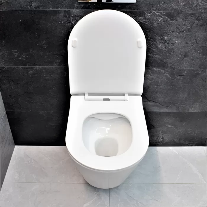 Унитаз подвесной Dusel Teri DWHT10202330 с сиденьем Soft Close дюропласт