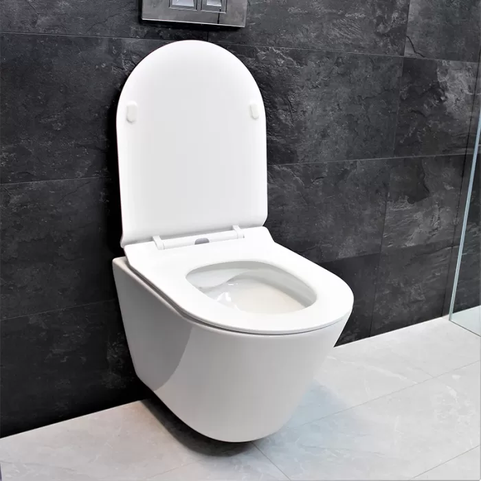 Унитаз подвесной Dusel Teri DWHT10202330 с сиденьем Soft Close дюропласт