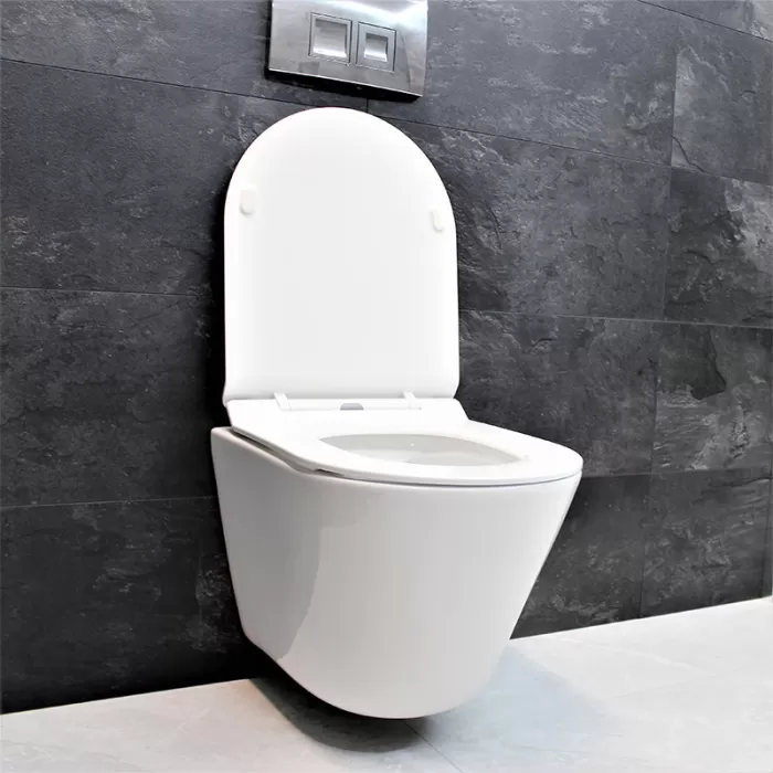 Унитаз подвесной Dusel Teri DWHT10202330 с сиденьем Soft Close дюропласт