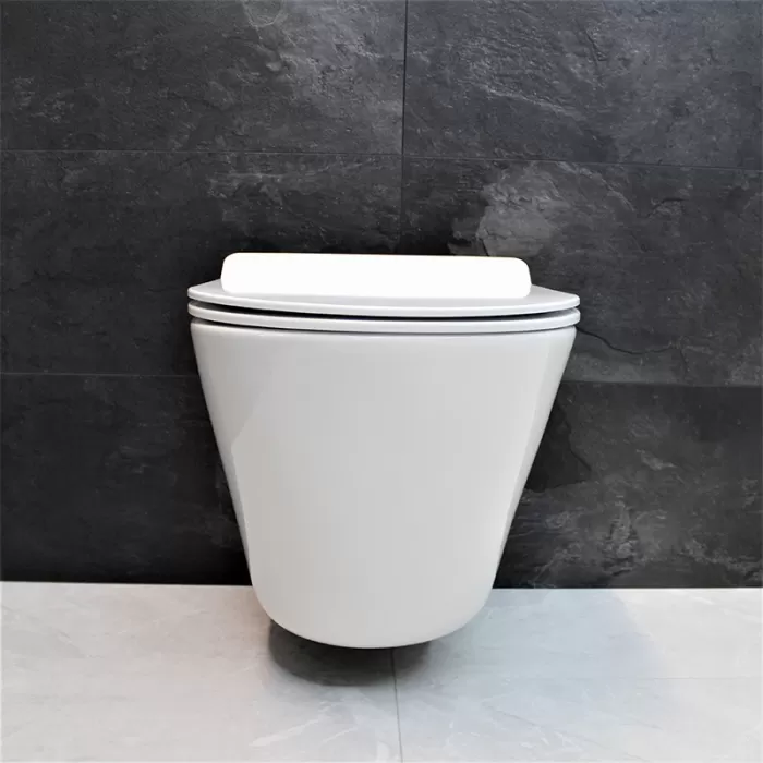 Унитаз подвесной Dusel Teri DWHT10202330 с сиденьем Soft Close дюропласт
