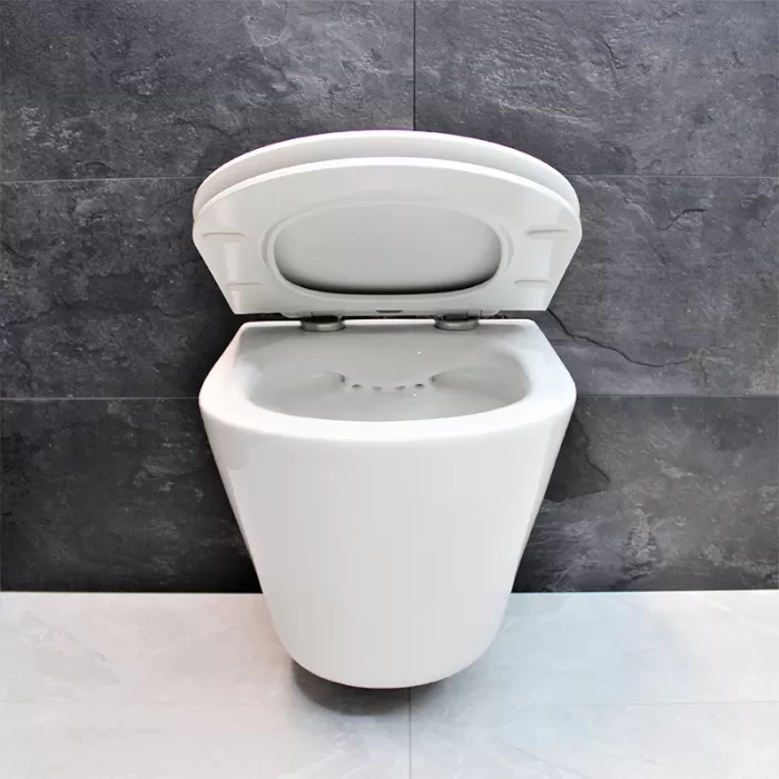 Унитаз подвесной Dusel Teri DWHT10202330 с сиденьем Soft Close дюропласт