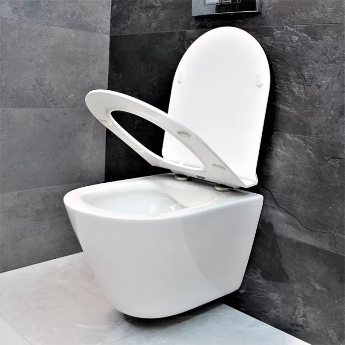 Унитаз подвесной Dusel Teri DWHT10202330 с сиденьем Soft Close дюропласт