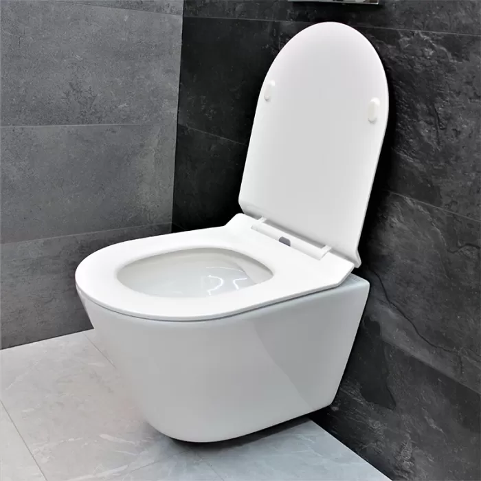 Унитаз подвесной Dusel Teri DWHT10202330 с сиденьем Soft Close дюропласт