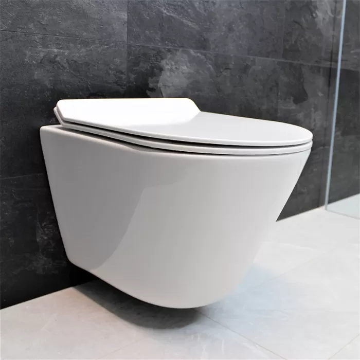 Унитаз подвесной Dusel Teri DWHT10202330 с сиденьем Soft Close дюропласт