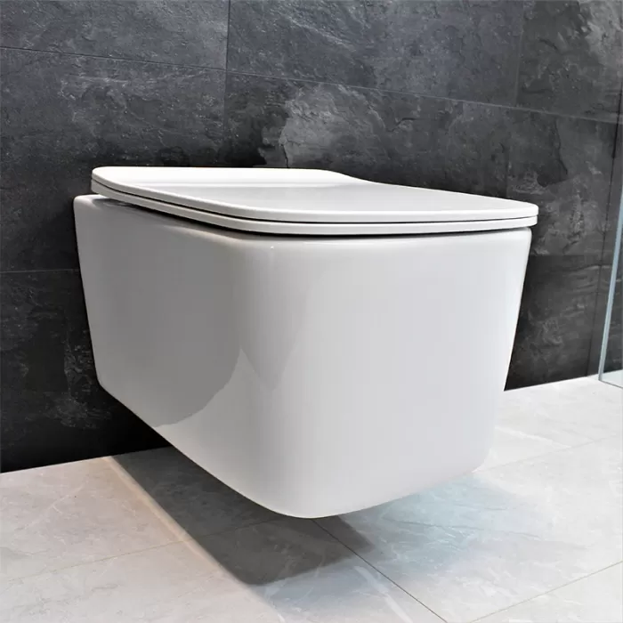 Унитаз подвесной Dusel Byron DWHT10202130 с сиденьем Soft Close дюропласт