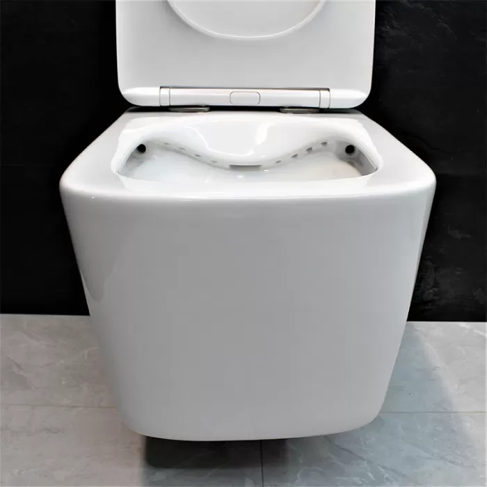 Унитаз подвесной Dusel Byron DWHT10202130 с сиденьем Soft Close дюропласт