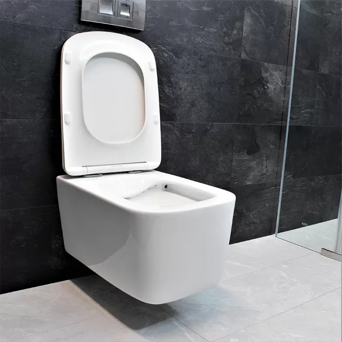 Унитаз подвесной Dusel Byron DWHT10202130 с сиденьем Soft Close дюропласт