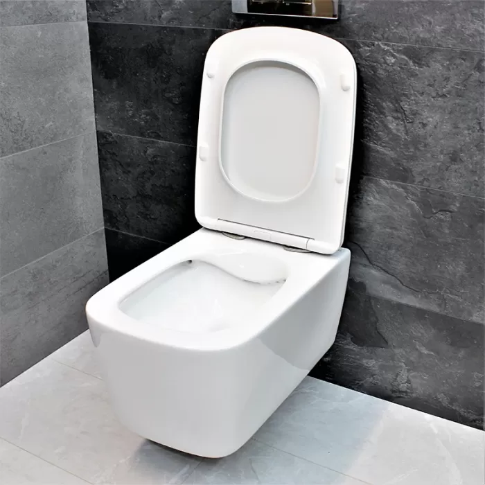 Унитаз подвесной Dusel Byron DWHT10202130 с сиденьем Soft Close дюропласт