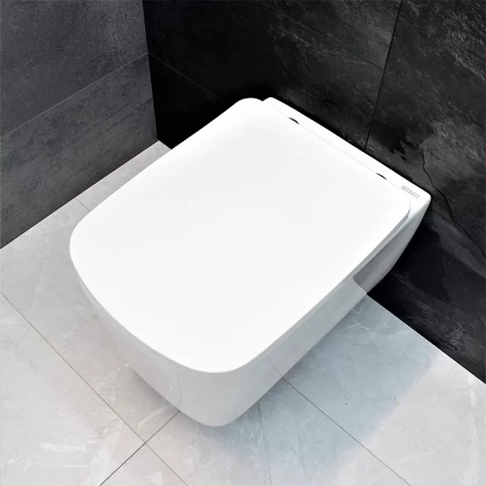 Унитаз подвесной Dusel Byron DWHT10202130 с сиденьем Soft Close дюропласт