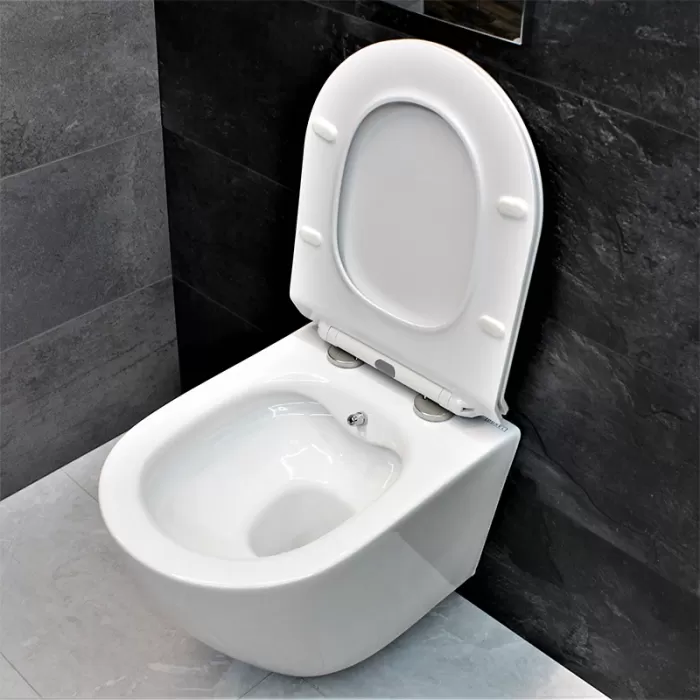 Унитаз-биде подвесной Dusel Levita Mix DWHT10201130М со смесителем и сиденьем Slim Soft-Close