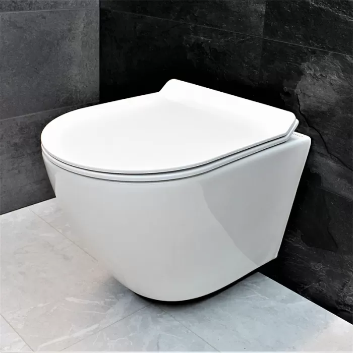 Унитаз-биде подвесной Dusel Levita Mix DWHT10201130М со смесителем и сиденьем Slim Soft-Close