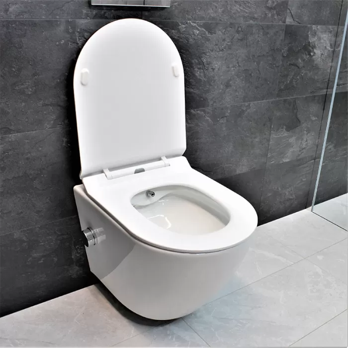 Унитаз-биде подвесной Dusel Levita Mix DWHT10201130М со смесителем и сиденьем Slim Soft-Close