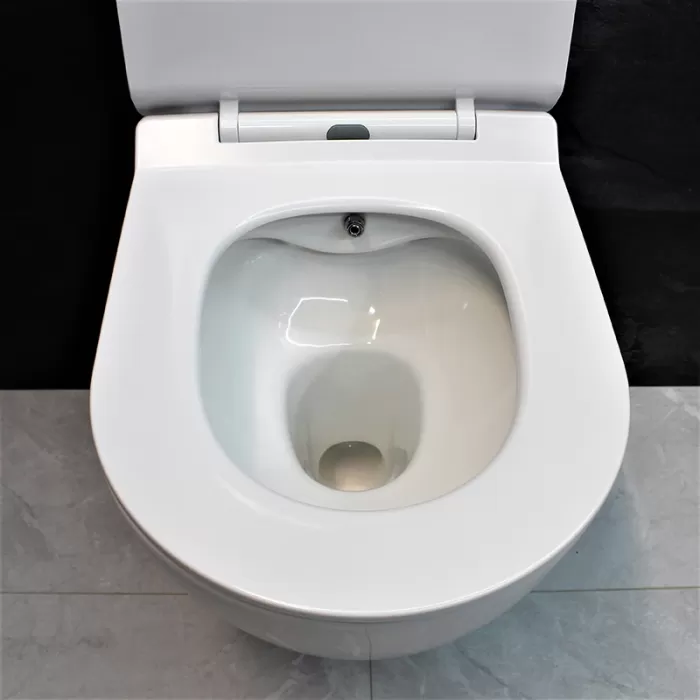 Унитаз-биде подвесной Dusel Levita Mix DWHT10201130М со смесителем и сиденьем Slim Soft-Close
