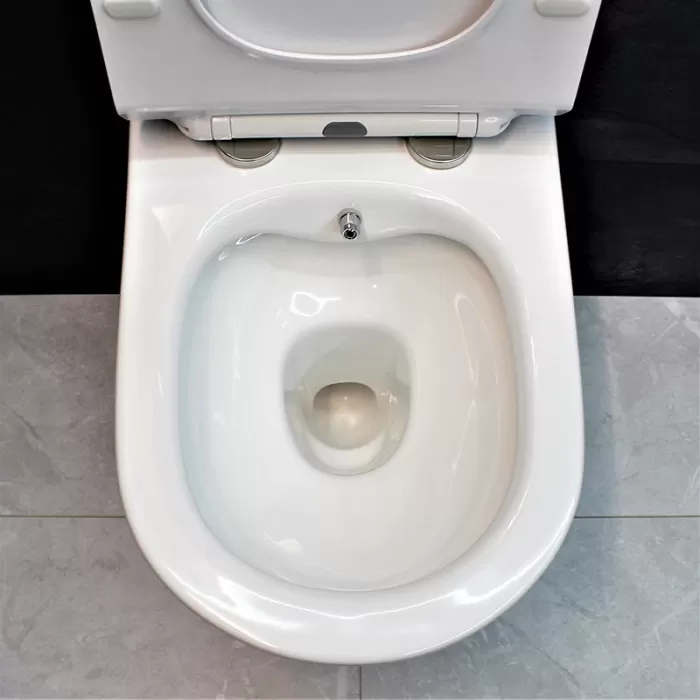 Унитаз-биде подвесной Dusel Levita Mix DWHT10201130М со смесителем и сиденьем Slim Soft-Close