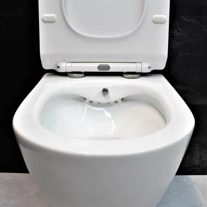 Унитаз-биде подвесной Dusel Levita Mix DWHT10201130М со смесителем и сиденьем Slim Soft-Close