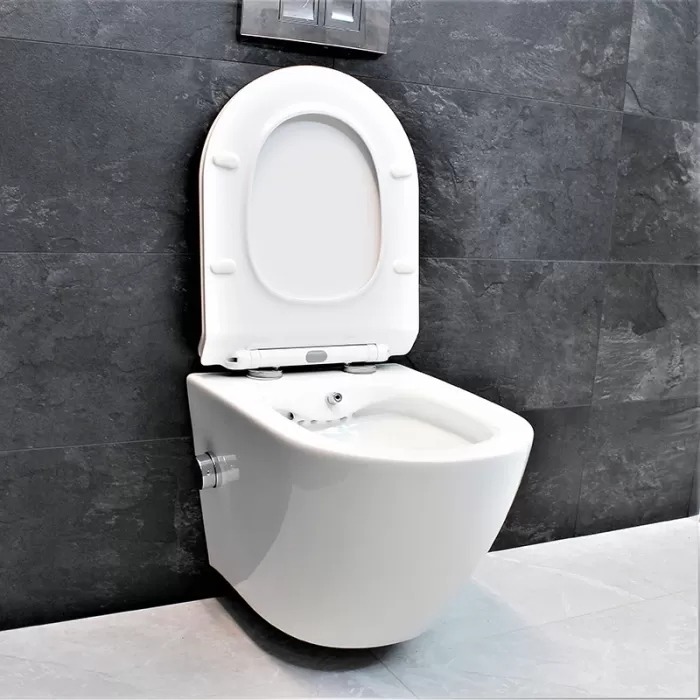 Унитаз-биде подвесной Dusel Levita Mix DWHT10201130М со смесителем и сиденьем Slim Soft-Close