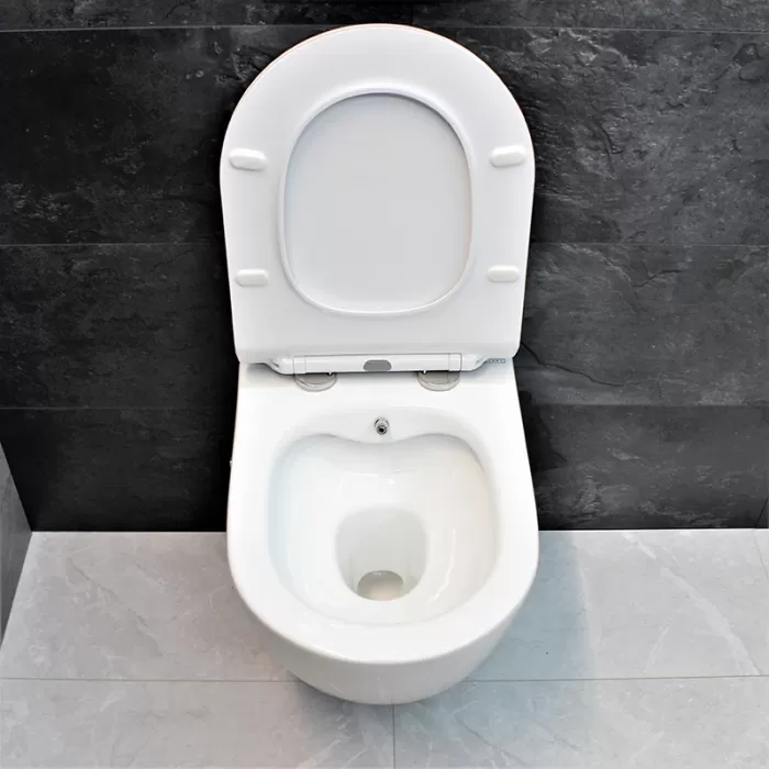Унитаз-биде подвесной Dusel Levita Mix DWHT10201130М со смесителем и сиденьем Slim Soft-Close