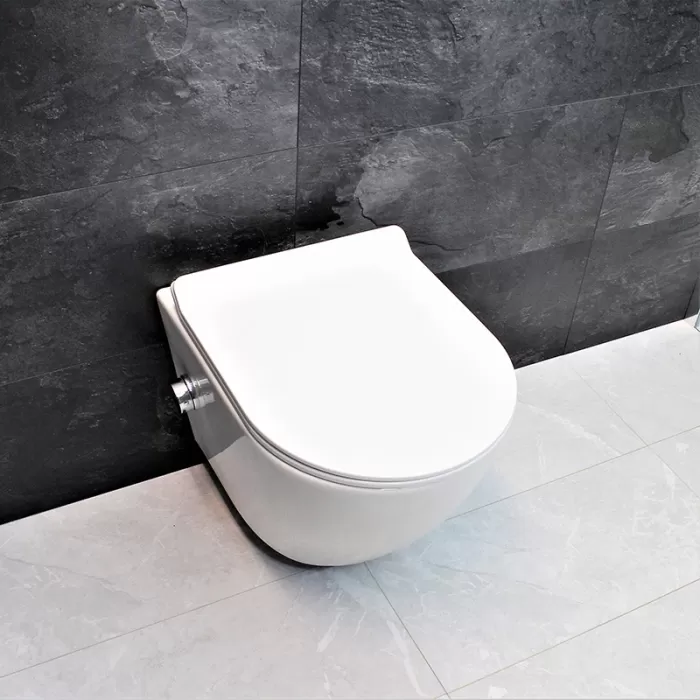 Унитаз-биде подвесной Dusel Levita Mix DWHT10201130М со смесителем и сиденьем Slim Soft-Close