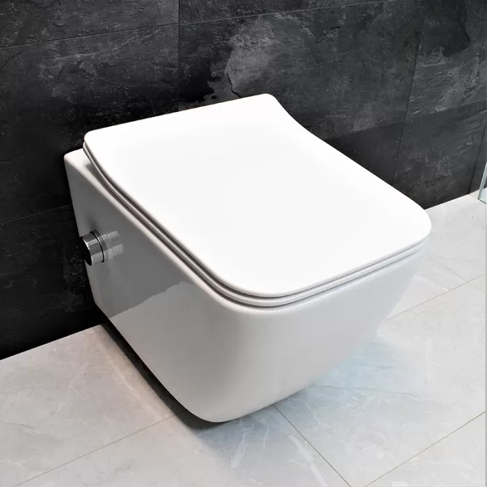 Унитаз-биде подвесной Dusel Cubis Mix DWHT10201030М со смесителем и сиденьем Slim Soft-Close