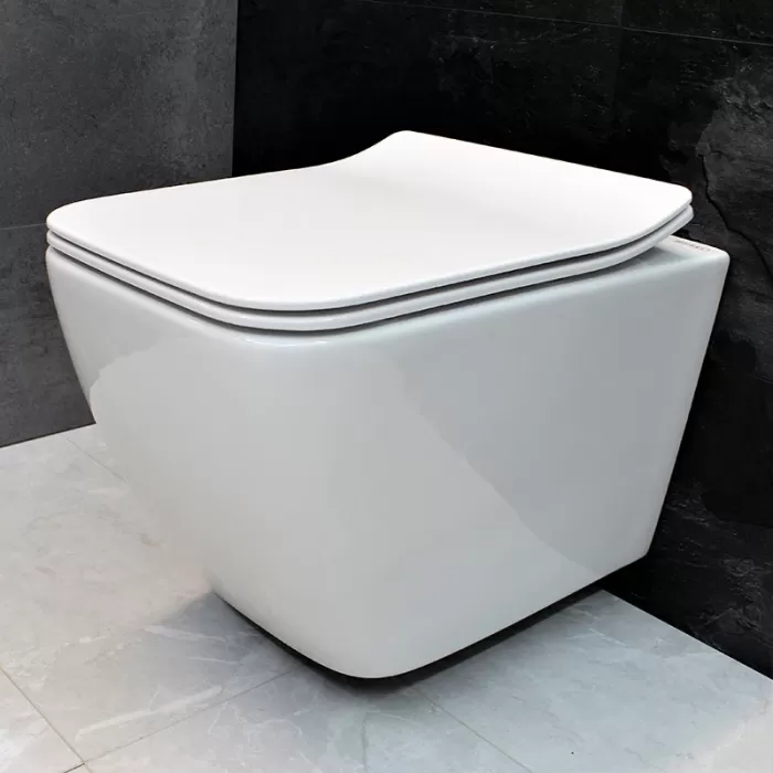 Унитаз-биде подвесной Dusel Cubis Mix DWHT10201030М со смесителем и сиденьем Slim Soft-Close
