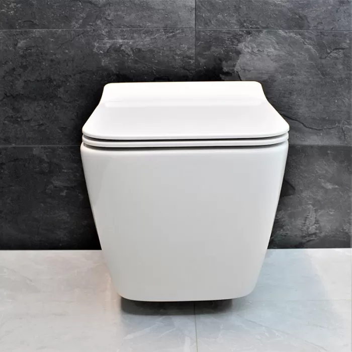 Унитаз-биде подвесной Dusel Cubis Mix DWHT10201030М со смесителем и сиденьем Slim Soft-Close