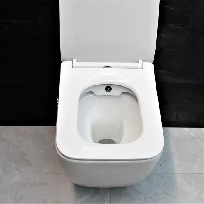 Унитаз-биде подвесной Dusel Cubis Mix DWHT10201030М со смесителем и сиденьем Slim Soft-Close